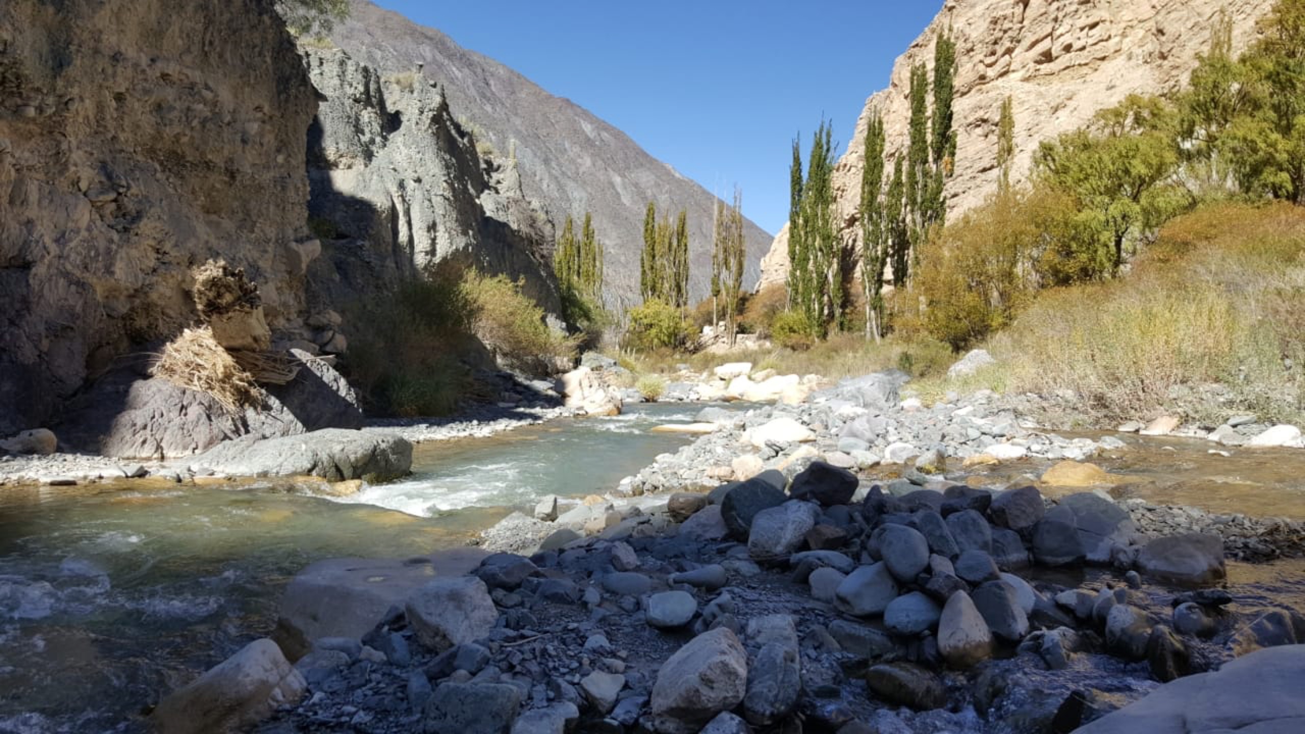 Salta